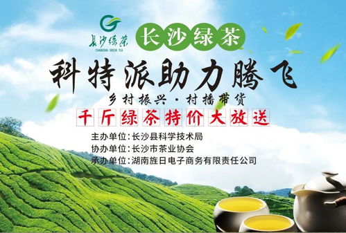 旌日农特 长沙县科技专家服务团 直播带货 18万余元为长沙绿茶打call